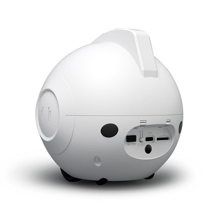 Whole-house Mobile Smart Security Camera