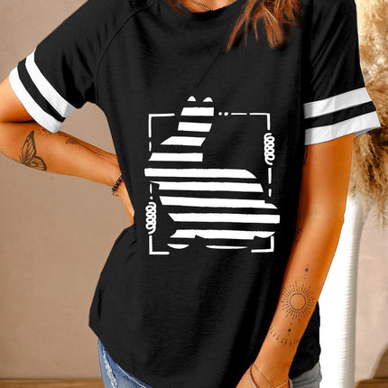 Plain Colorblock Raglan Sleeve T-shirt