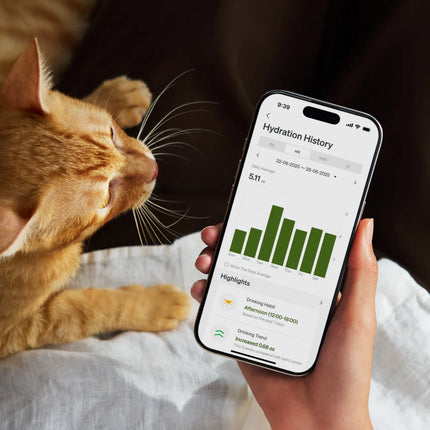 Feedi 2 Smart Cordless Fountain