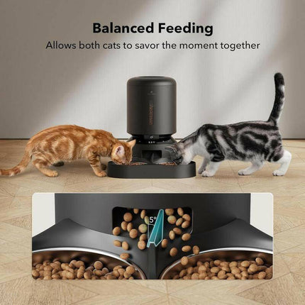 FEEDI 5L Automatic Cat Feeder with HD Camera & Smart Features for Effortless Dual Cat Feeding